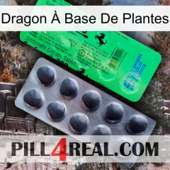Dragon À Base De Plantes new04